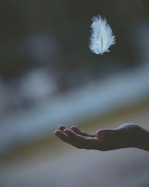 https://unsplash.com/photos/shallow-focus-photography-of-white-feather-dropping-in-persons-hand-FL6rma2jePU